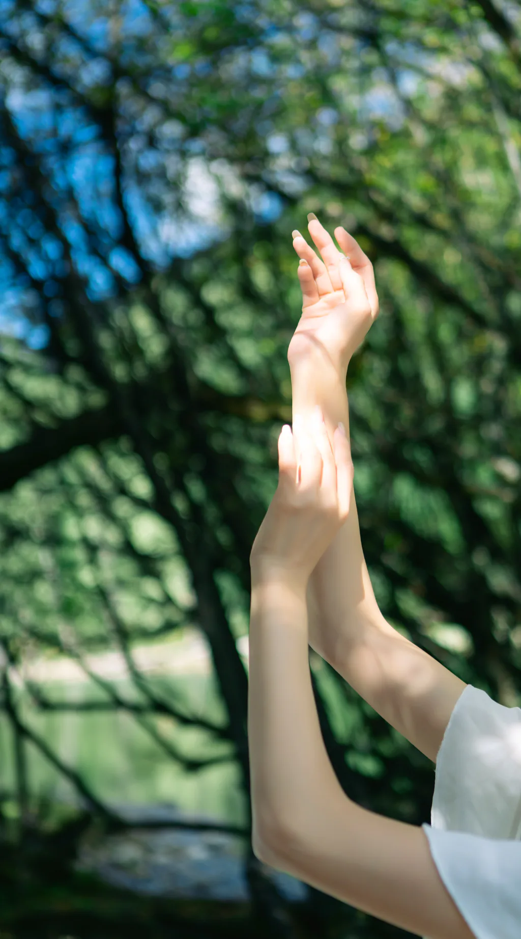 [YITUYU艺图语]2023.02.04 静谧森林 谢阿玲[25+1P/422MB]插图2