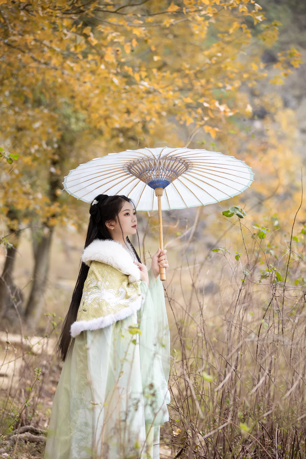 [YITUYU艺图语]2023.02.05 枫 秋哒哒–[24+1P/276MB]插图1