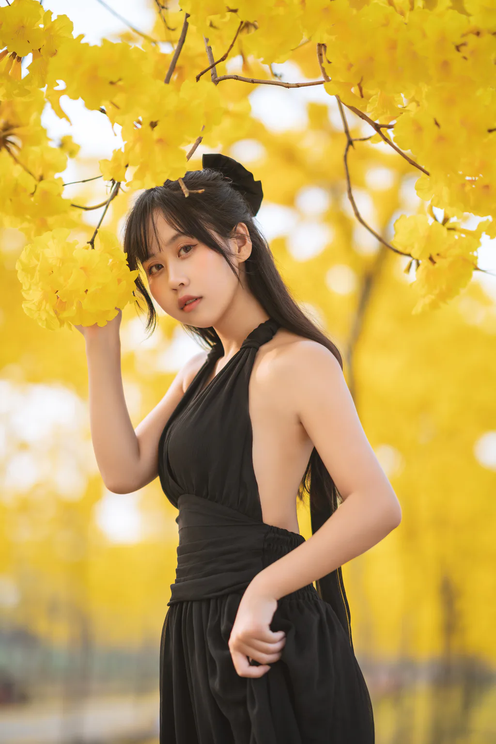 [YITUYU艺图语]2023.02.14 秋有银杏 春有黄风铃 萌芽儿o0[24+1P/342MB]插图1