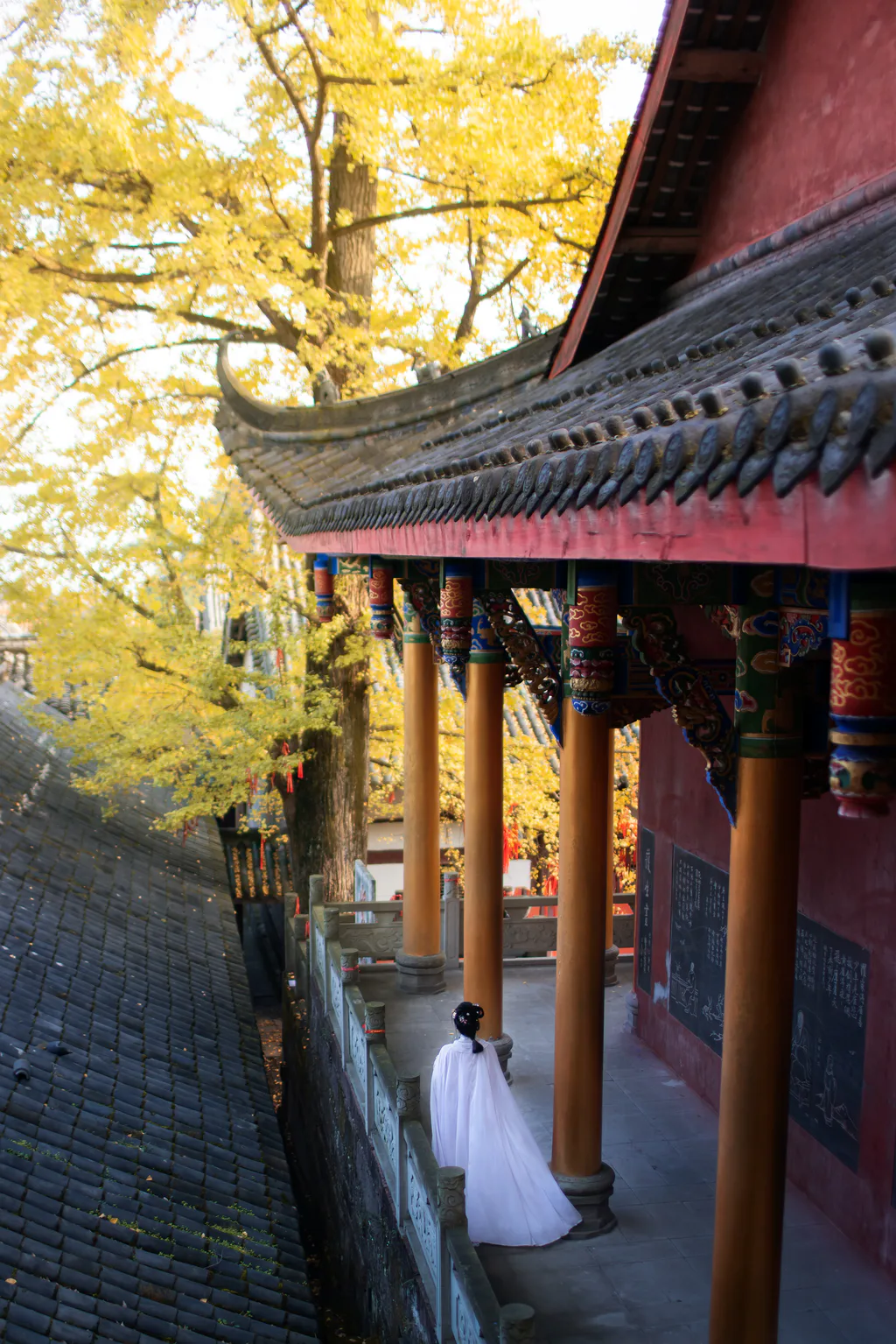 [YITUYU艺图语]2023.02.03 等闲日 陌颜[29+1P/531MB]插图2