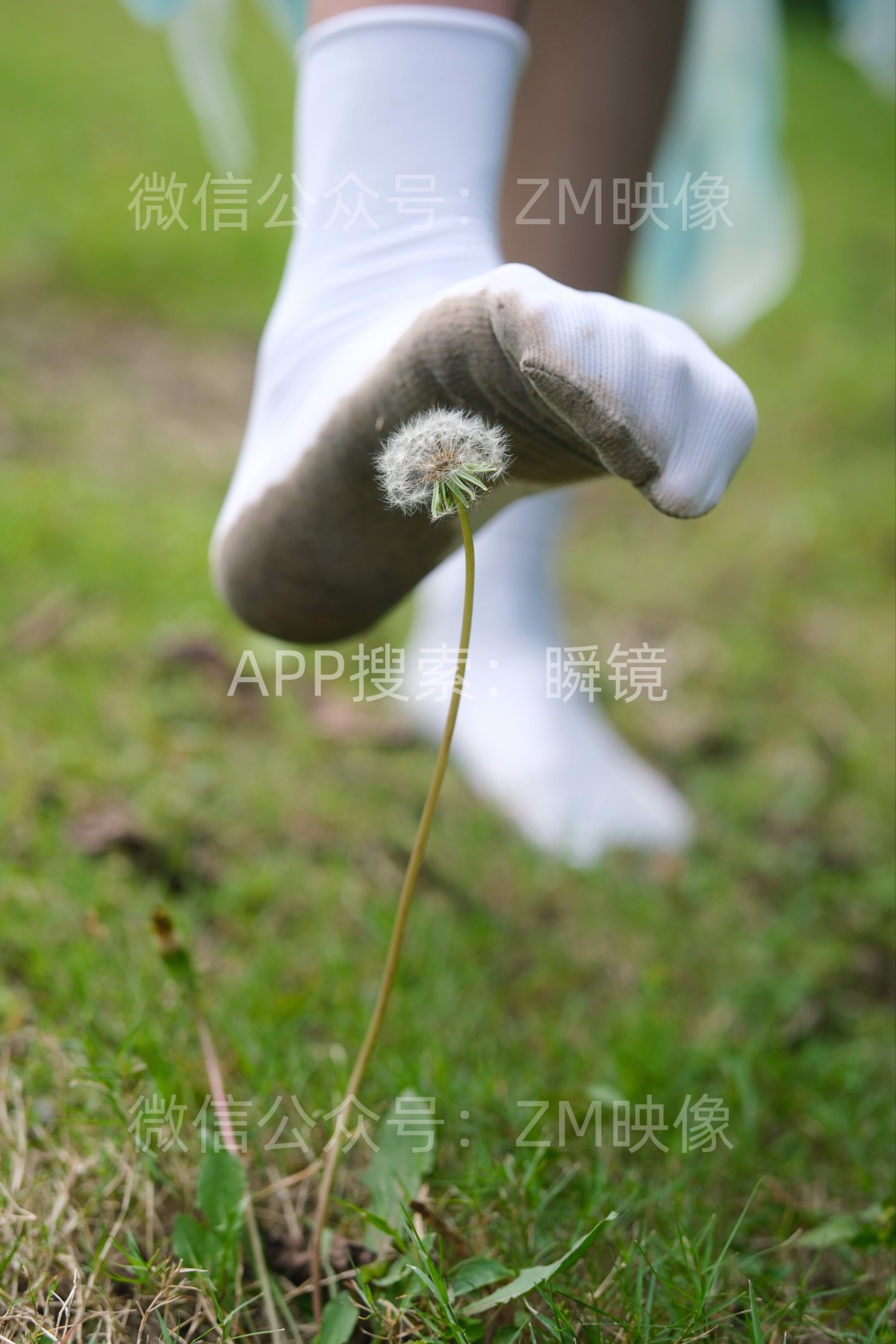 织梦映像：云淡风轻-完整版 [299P/1V/4.26GB]插图2