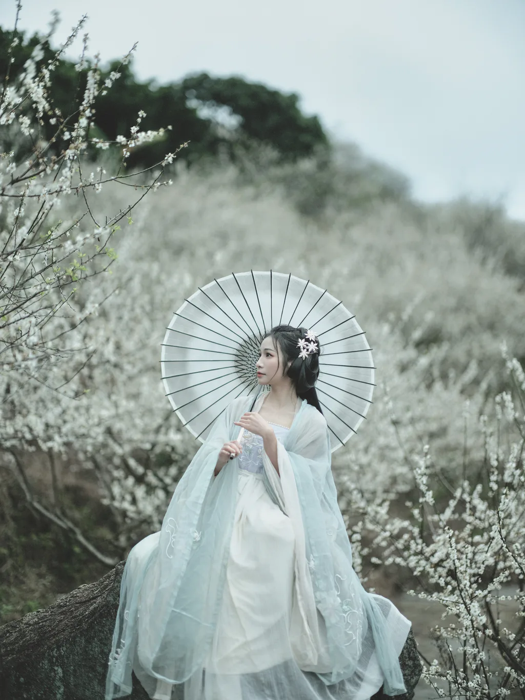 [YITUYU艺图语]2023.02.16 冬梅 轻舟[25+1P/329MB]插图1