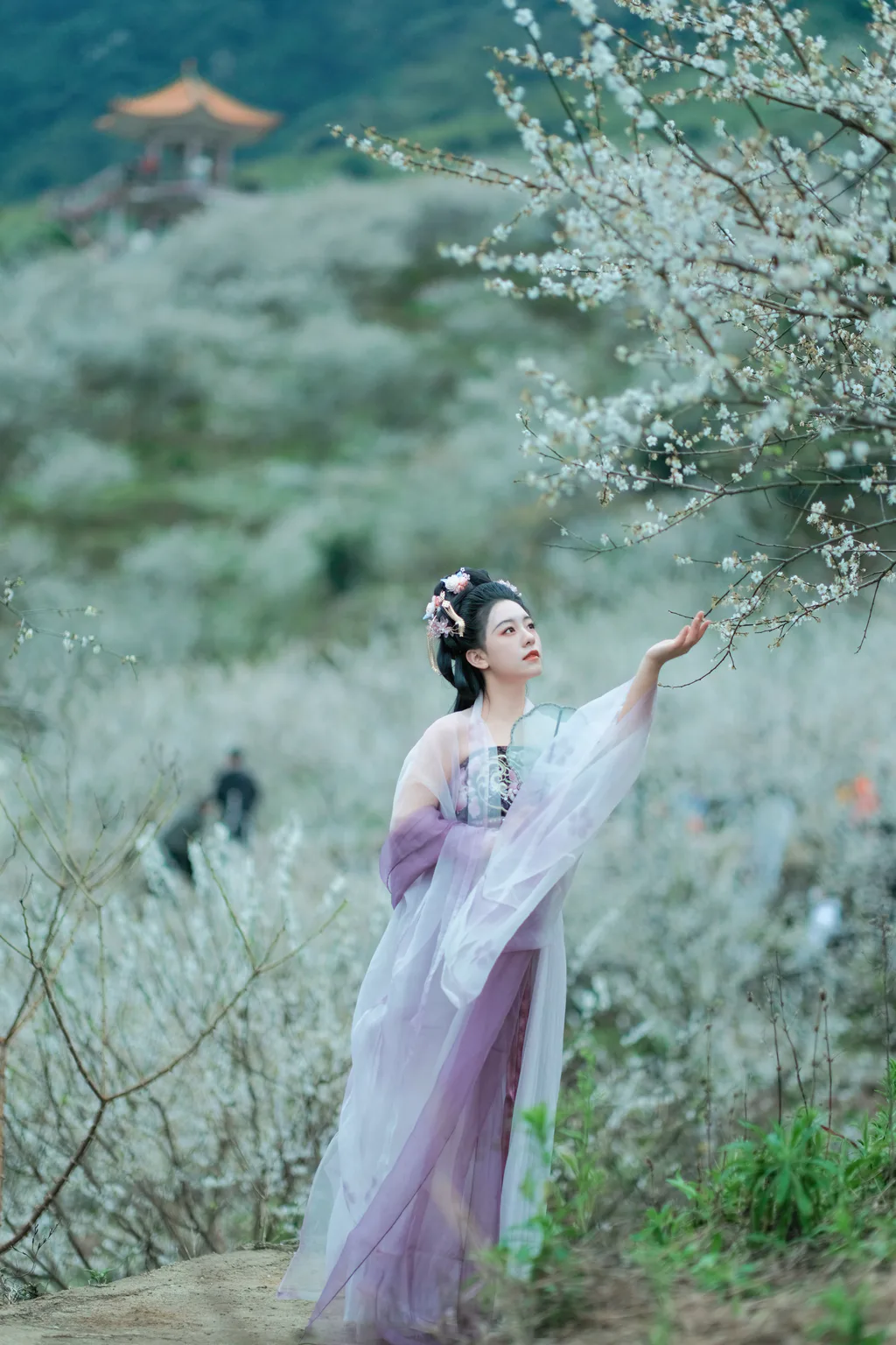 [YITUYU艺图语]2023.02.18 梅花三弄 乐嫣[26+1P/275MB]插图1