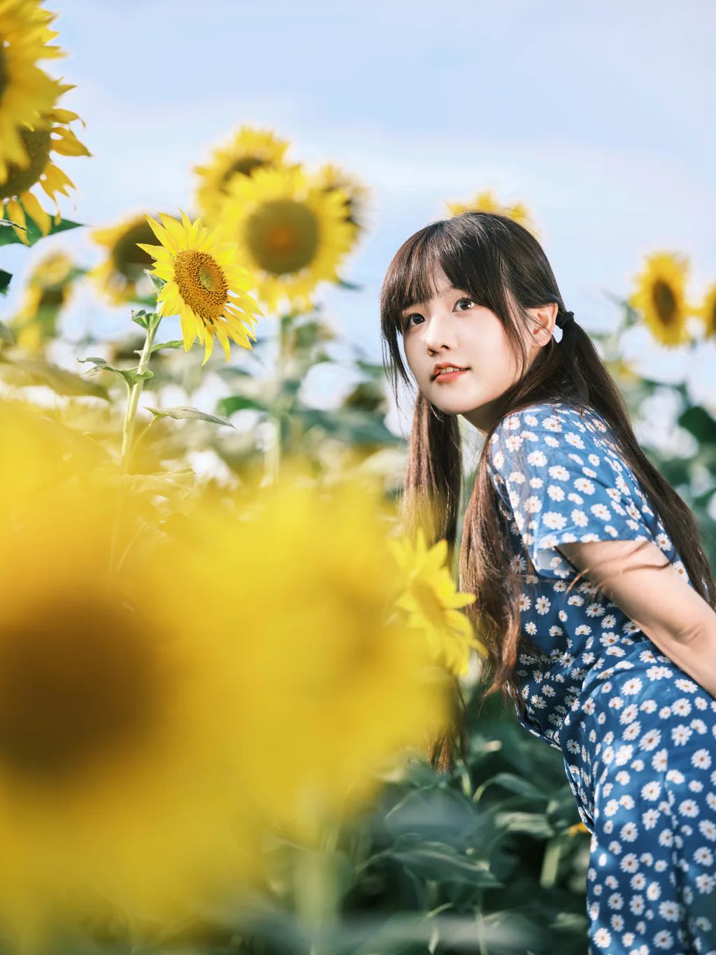 [YITUYU艺图语]2023.02.15 向日葵 宵宵喵[27+1P/313MB]插图3