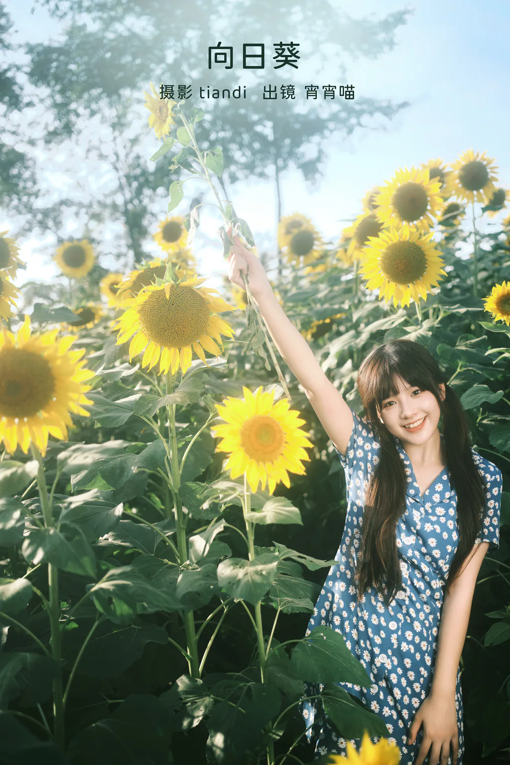 [YITUYU艺图语]2023.02.15 向日葵 宵宵喵[27+1P/313MB]插图2