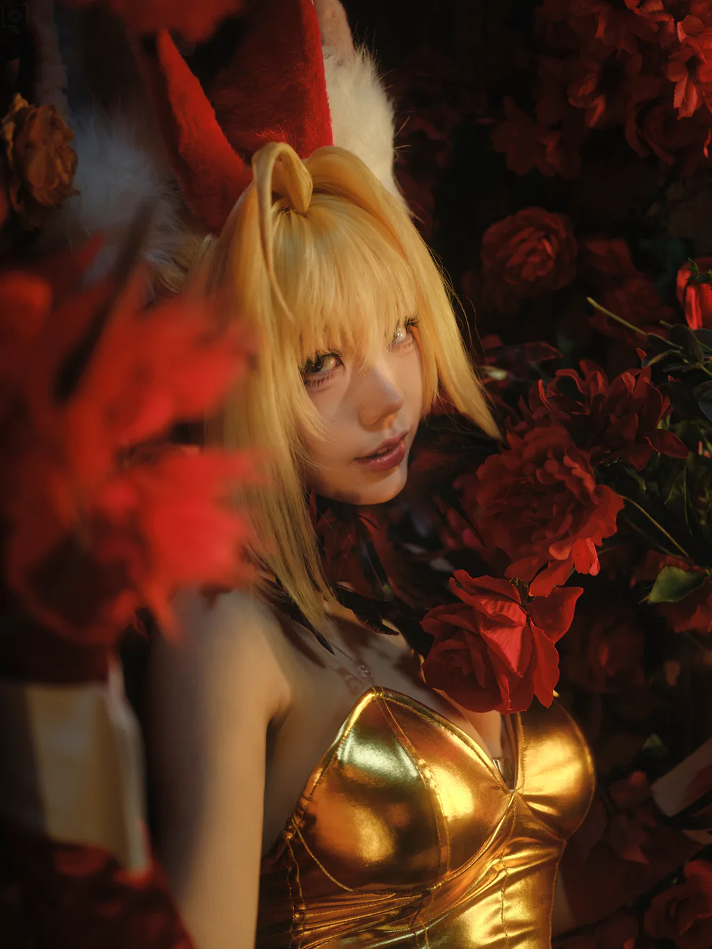 湖里狸 – 尼禄[30P/251MB]插图1