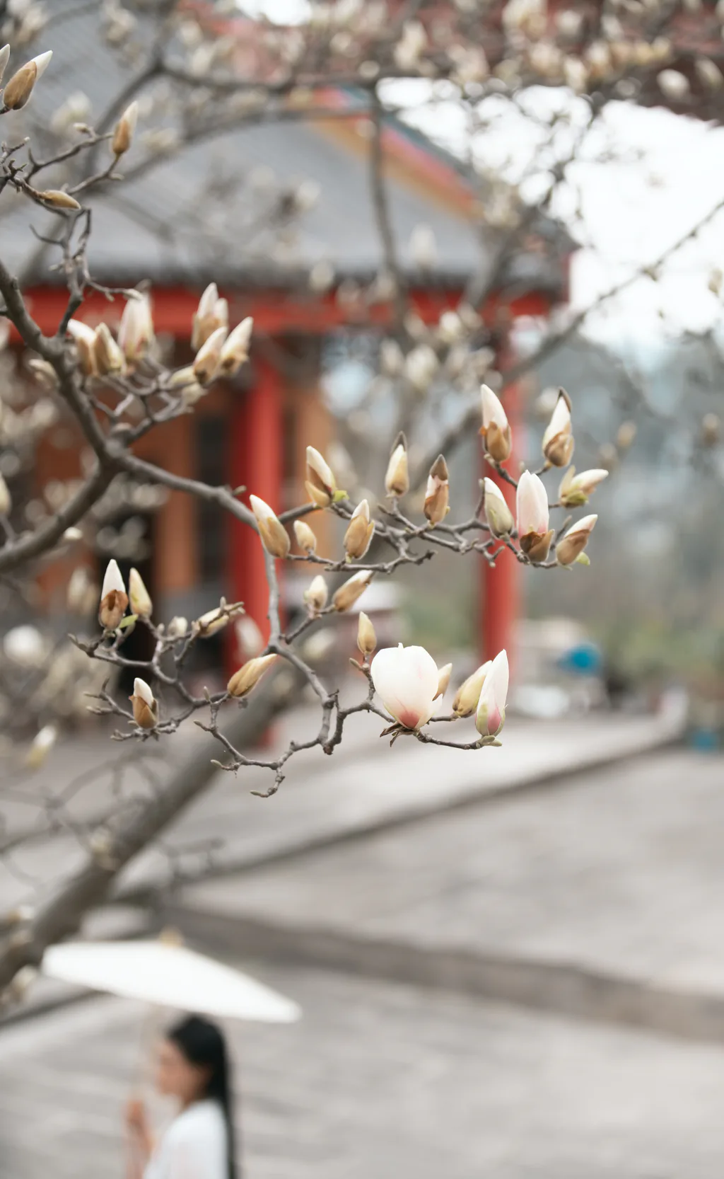 [YITUYU艺图语]2023.03.24 如是我闻 明月[45+1P/777MB]插图1