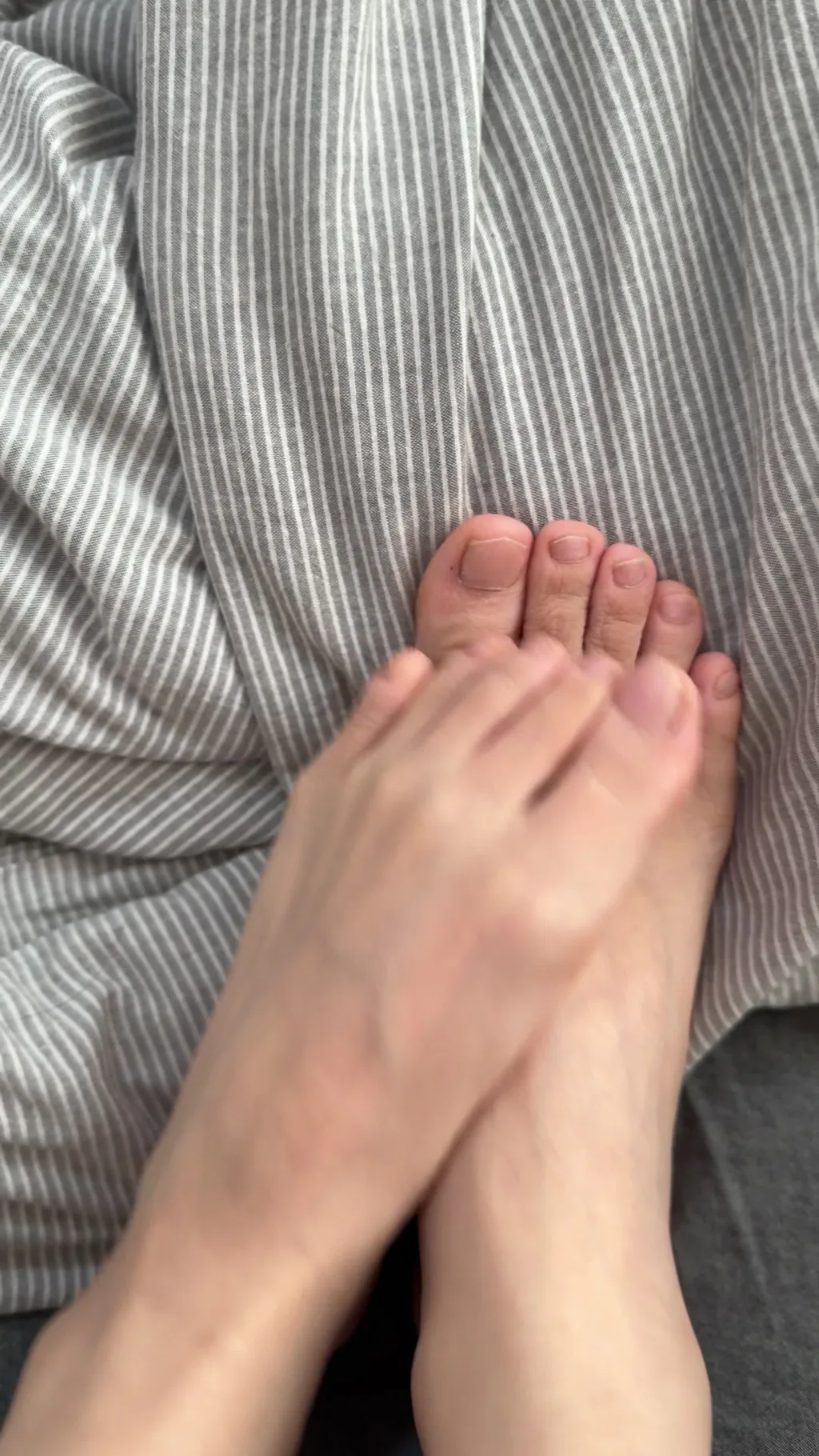 小羊蛋卷 足[1V/120M]插图2