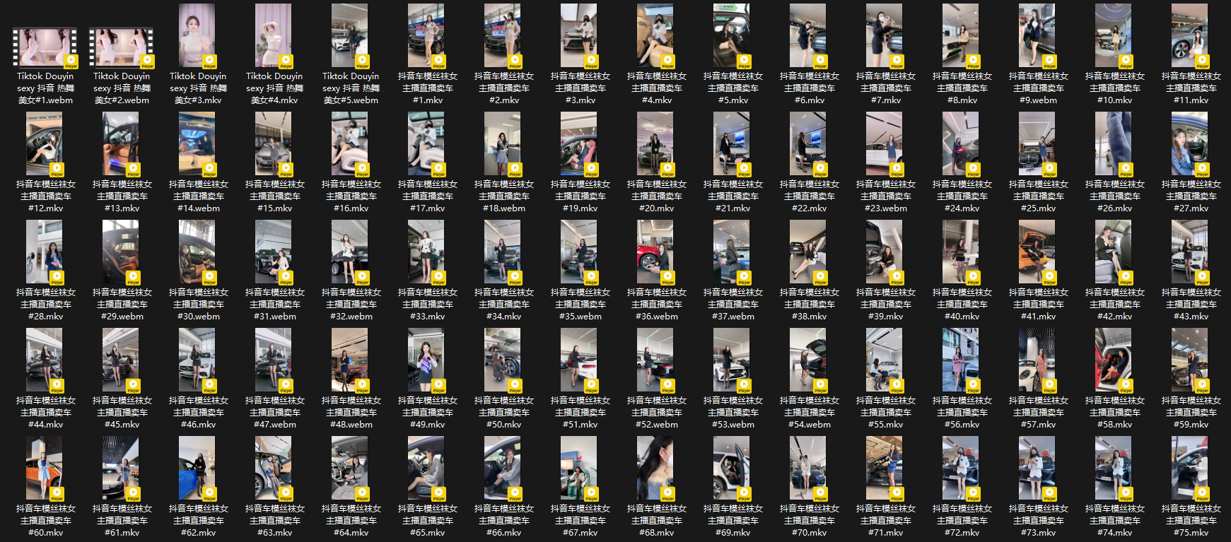 抖音女主播直播卖车合辑 [217V/60.24GB]插图