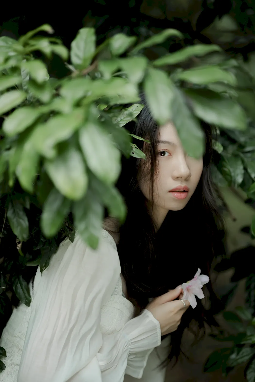 [YITUYU艺图语]2023.09.02 森之语 Cynthia[23+1P/256MB]插图