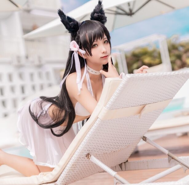 蠢沫沫 – 爱宕犬泳装 [37P/524MB]