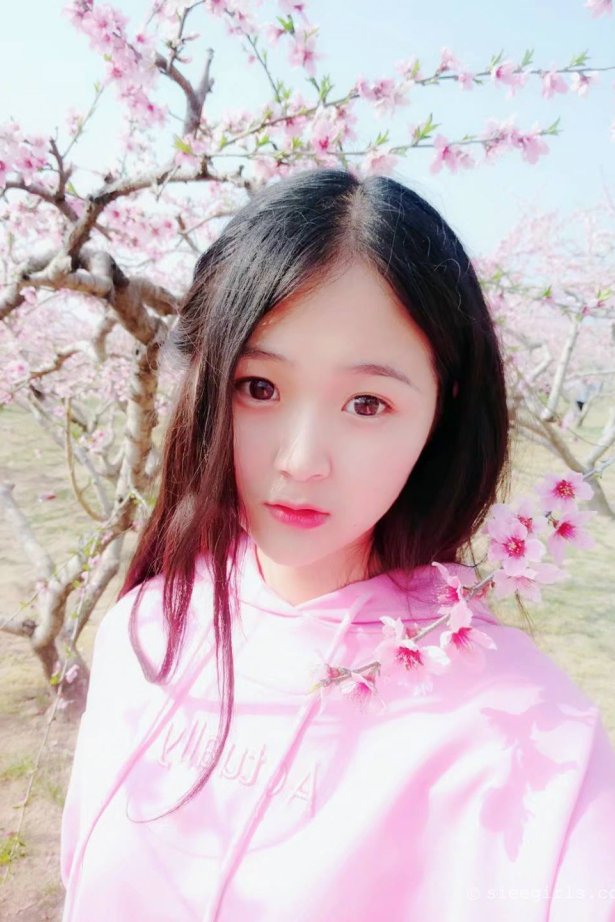 [SIEE丝意]新刊 NO.062 曦曦 粉色回忆 [72P/734MB]