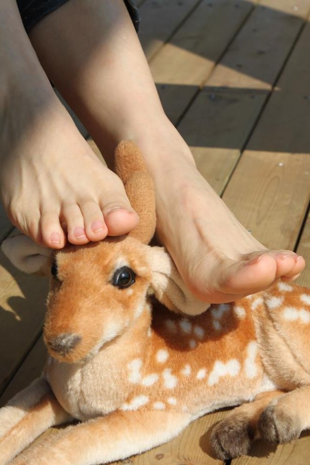 Fannie芬妮镁足园 006 2009圣诞快乐！[76P/203MB]