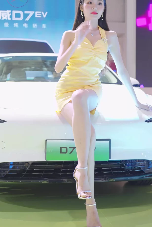 NO.0428 2023 东莞秋季车展 Racing Model ROEWE车模01[1V/675MB]