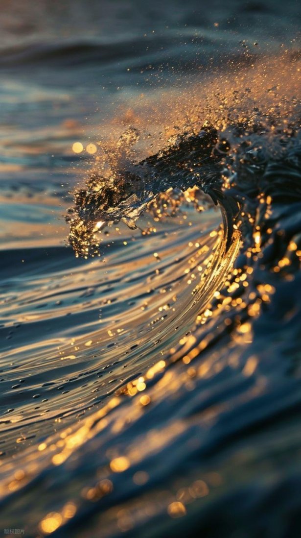 摄影小白实操：解锁光线与背景的完美搭配