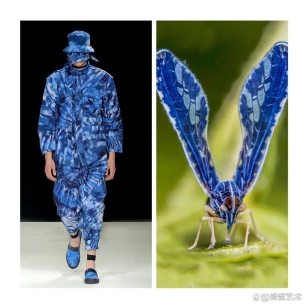 叹为观止!这20个创意服装,原型竟然是虫子、蜥蜴和蘑菇