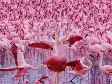 因为太华丽，她的摄影作品被质疑是AI绘画，不知该高兴还是难过