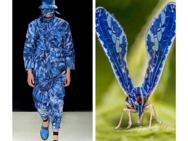 叹为观止！这20个创意服装，原型竟然是虫子、蜥蜴和蘑菇