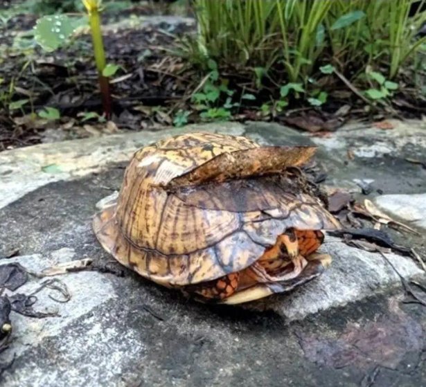 太巧了吧!20张现实中的“神级错位”,完全没修图却像特效