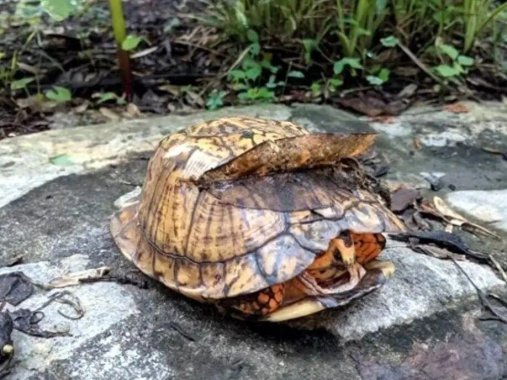 太巧了吧！20张现实中的“神级错位”，完全没修图却像特效