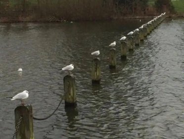 20张巧得离谱的照片：生活这导演，真是会安排