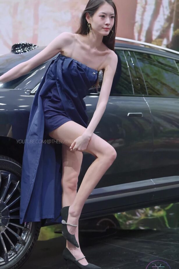 NO.1594 2024 广州车展 网荭镁钕车模 beautyleg LOOKBOOK 50[1V/252MB]