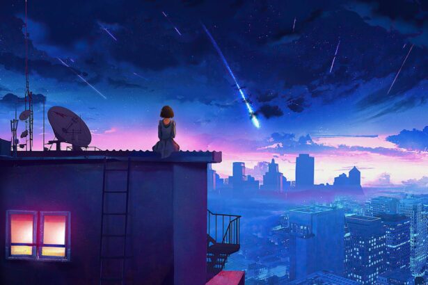 桌面壁纸 011 4k 晚上 坐在屋顶的女孩 背影 星空 流星 唯美 动漫 高清壁纸