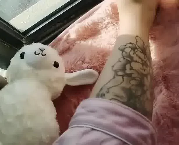 脚模面试脸足同框套路系列-220 小花褪 [3V/3M]