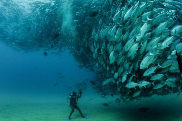 桌面壁纸 060 丰富多彩的4k壁纸