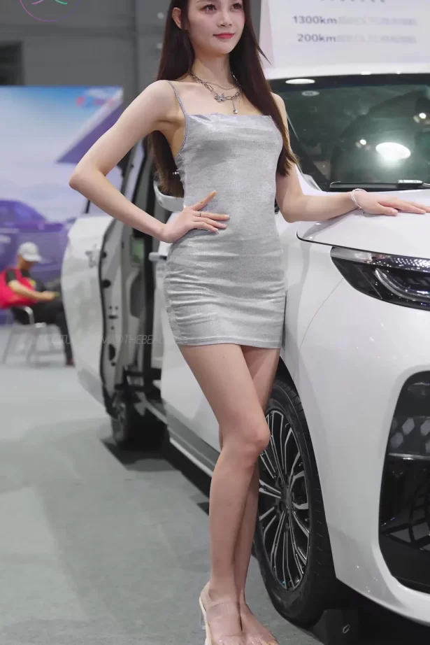 NO.1727 2024 广州华南车展 Racing Model 车模10[1V/275MB]