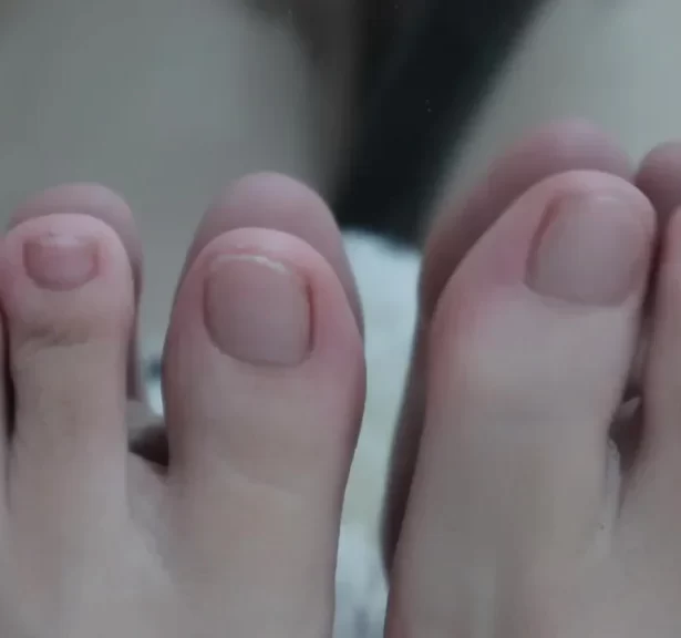 小羊蛋卷 镜像[1V/76M]