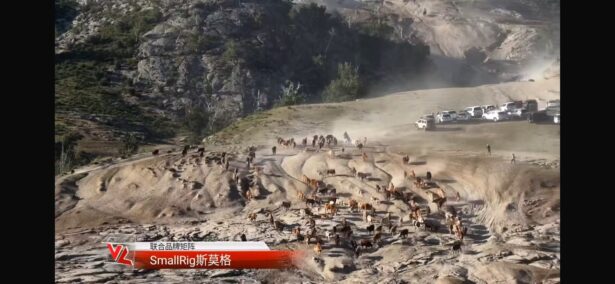 光影定格千年牧歌：SmallRig斯莫格助力阿勒泰百万牛羊大转场影像记录